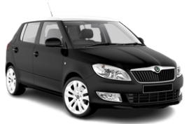 fabia3213-removebg-preview.png