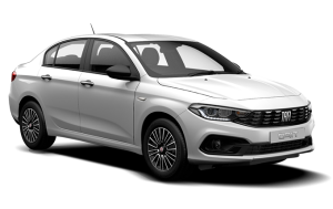 tipo_white-e1633631439695